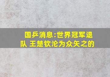 国乒消息:世界冠军退队 王楚钦沦为众矢之的